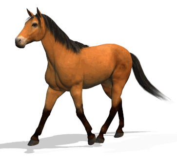 Gif de caballo café con crin y cola negros, el caballo esta en movimiento