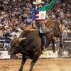 camisa Mex-USA foto de un jinete profesional de toros en una competición vistiendo la camisa Tret modelo México - Estados Unidos.