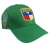 gorra color verde pasto con logo bordado del escudo de texas