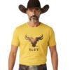 playera amarilla