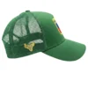 vista lateral gorra texas verde pasto