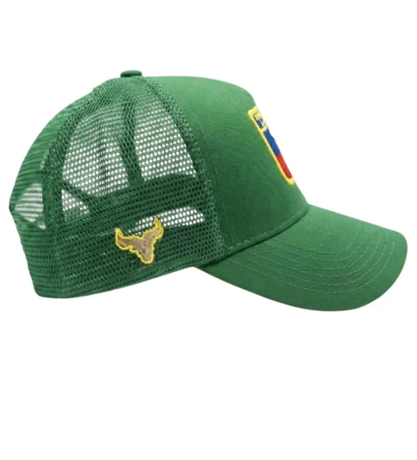vista lateral gorra texas verde pasto