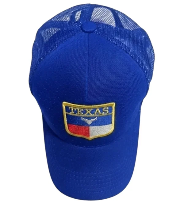 vista superior gorra azul rey texas