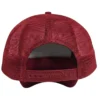 vista trasera gorra roja texas